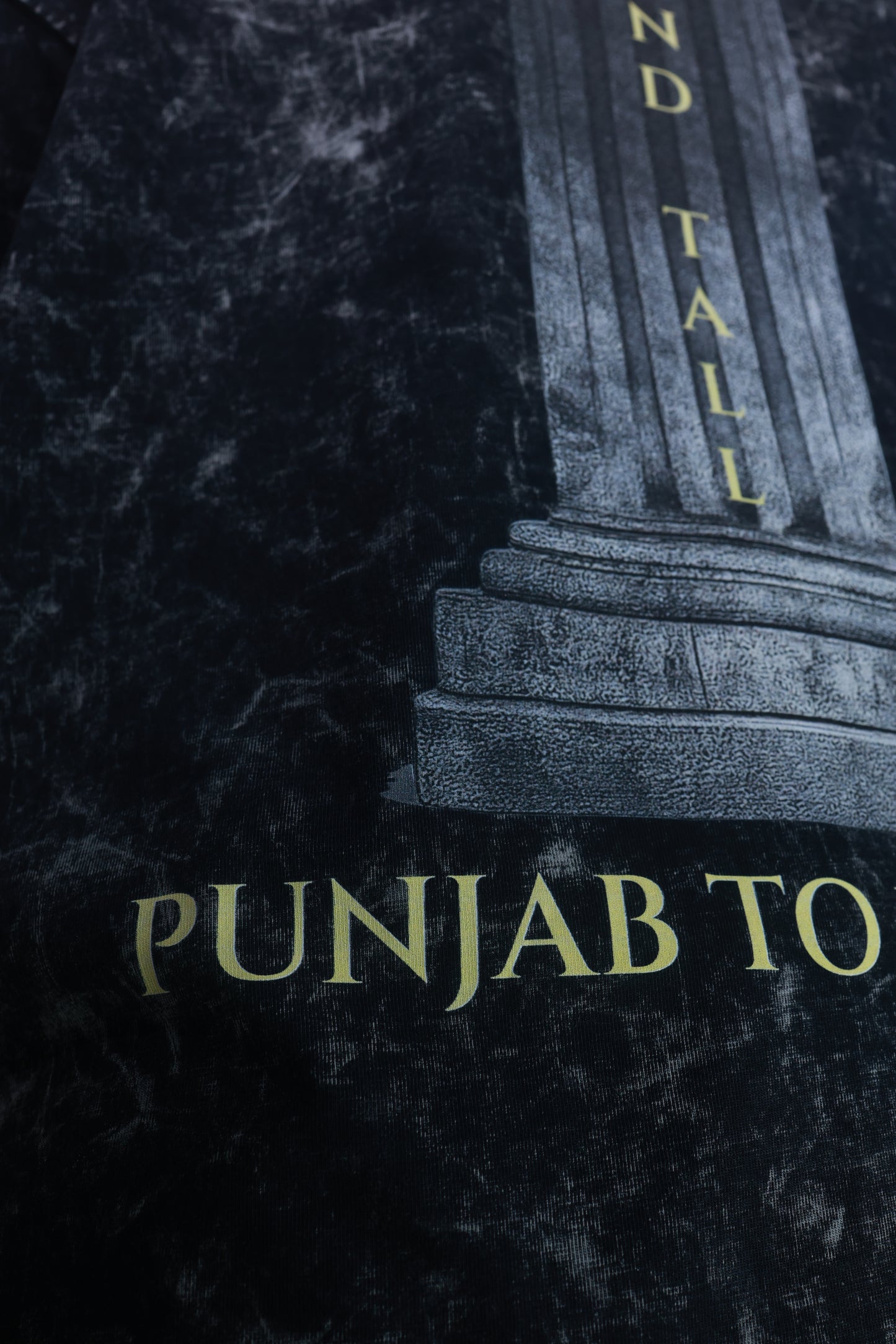 “Stand Tall” Acid Wash Tee — Punjab to World Edition